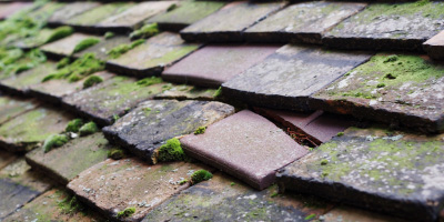 Colstrope roof repair costs